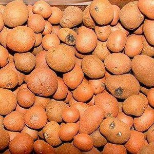 Керамзит фракция 10-20 Image