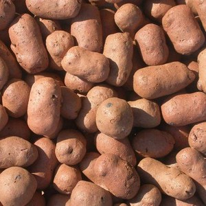 Керамзит фракция 20-40 Image